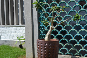 Copper Beach Gardens - Ceramic Brick Work