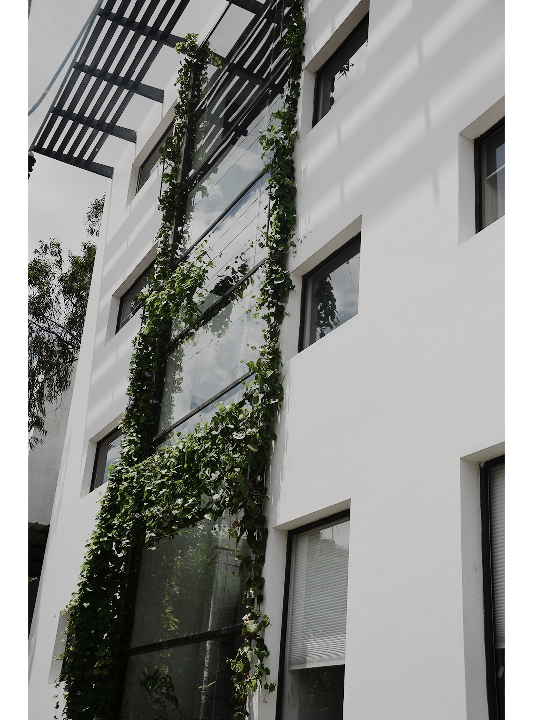 Shilpa Architects Exterior - Green Facade