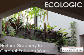 ECOLOGIC Nurture Greenery to Combat Pollution Woes