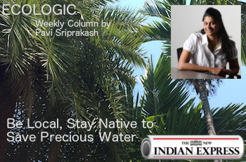 ECOLOGIC: Be Local, Stay Native to Save Precious Water