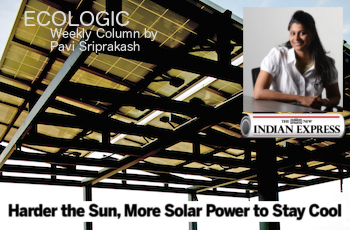 ECOLOGIC: Solar power to stay cool