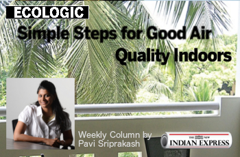 ECOLOGIC: Simple steps for good air quality indoors