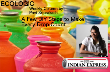 ECOLOGIC: A Few DIY Steps to Make Every Drop Count