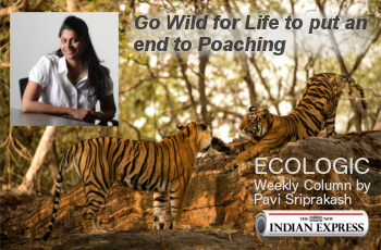 ECOLOGIC: Go wild for life.. End to Poaching