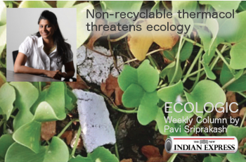 ECOLOGIC: Non-recyclable thermacol threatens ecology