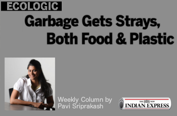 ECOLOGIC: Garbage gets strays, both food and plastic