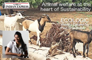 ECOLOGIC: Animal Welfare at the heart of Sustainability