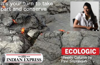 ECOLOGIC: It’s your turn