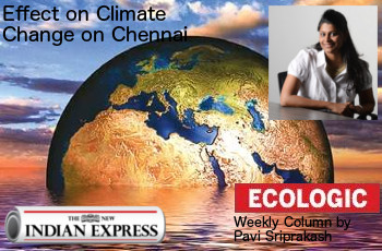 ECOLOGIC: Effect of climate change on Chennai!