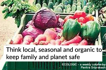 ECOLOGIC: Think local, seasonal, organic