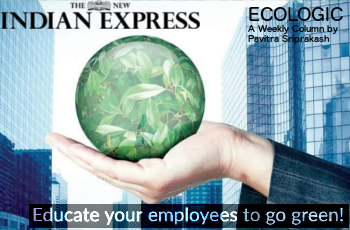 ECOLOGIC: Educate your employees to go green!