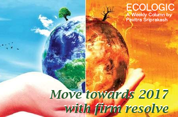 ECOLOGIC: Move towards 2017 with firm resolve