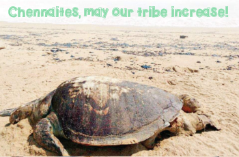 ECOLOGIC: May our tribe increase!