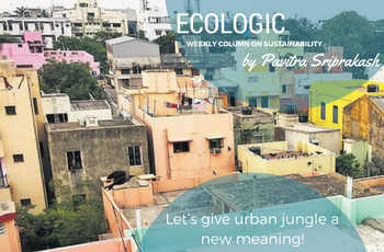 ECOLOGIC: Let’s give urban jungle a new meaning!