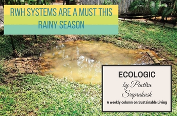 ECOLOGIC: RWH systems are a must this rainy season