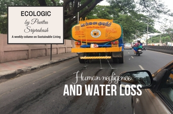 ECOLOGIC: Human negligence and water loss