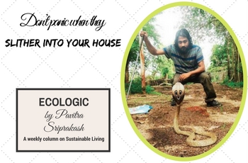 ECOLOGIC: Don’t panic when they slither into your house