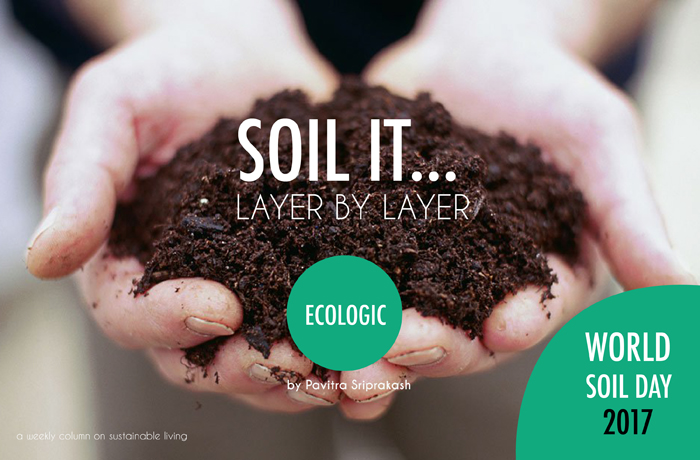 ECOLOGIC : Soil it…Layer by layer