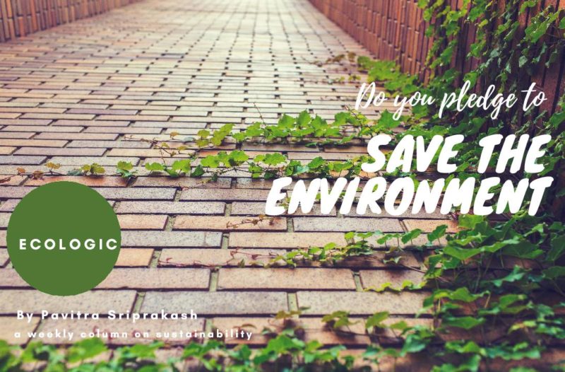 ECOLOGIC : Do you pledge to save the environment?