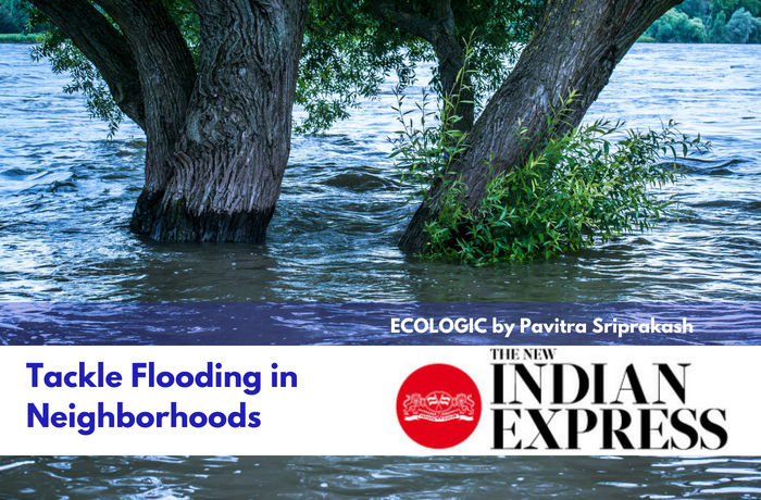ECOLOGIC: Tackle Flooding in Neighborhoods