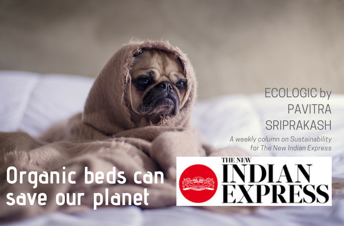 ECOLOGIC: Organic beds can Save our Planet