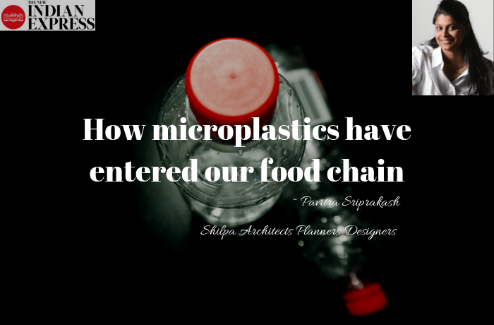 ECOLOGIC : How microplastics have entered our food chain